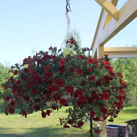 Jaeaeskaen Loma, Kojolapark Luiska-hostelli Vandrarhem Voltti