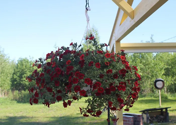 Jaeaeskaen Loma, Kojolapark Luiska-hostelli Hostel Voltti